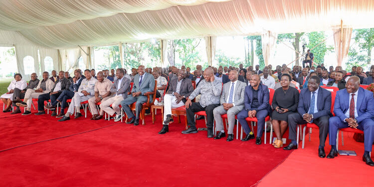 Ruto calls for unity in meeting with Kisii leaders