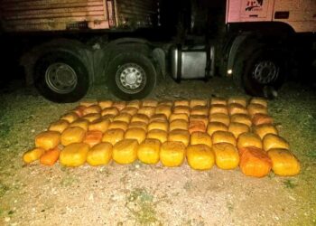 196Kgs of bhang seized in Samburu, 3 arrested