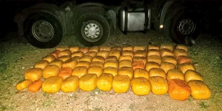 196Kgs of bhang seized in Samburu, 3 arrested