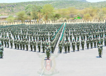 NYS announces recruitment of volunteers countrywide