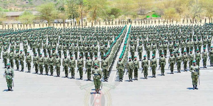 NYS announces recruitment of volunteers countrywide