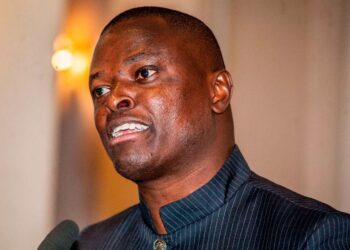 Ndindi Nyoro buys 20m TransCentury shares