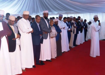 Wednesday declared public holiday