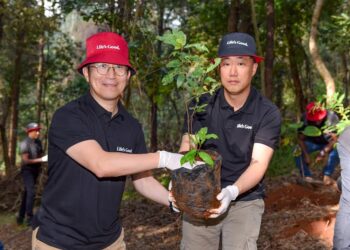 LG Team Plants 300 Indigenous Trees in Nairobi’s Karura Forest