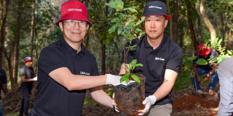 LG Team Plants 300 Indigenous Trees in Nairobi’s Karura Forest