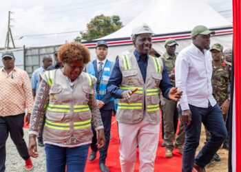 Mtaniua na majina! Ruto on Kenyans nicknaming him