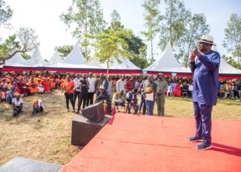 Raila clarifies UDA, ODM relationship