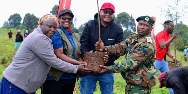 Minet Advances 500,000 Tree Initiative with 20,000 New Seedlings Planted