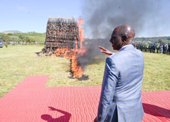 Ruto burns illicit firearm in Ngong