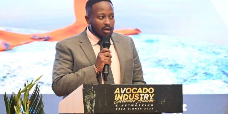 Co-op Bank Kenya Triumphs as Overall Winner in Financial Services at Avocado Society of Kenya Awards