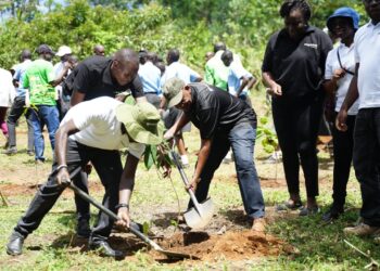 Co-op Bank Commits to Five-Year Kakamega Forest Restoration Initiative